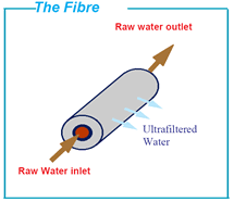 The Fibre